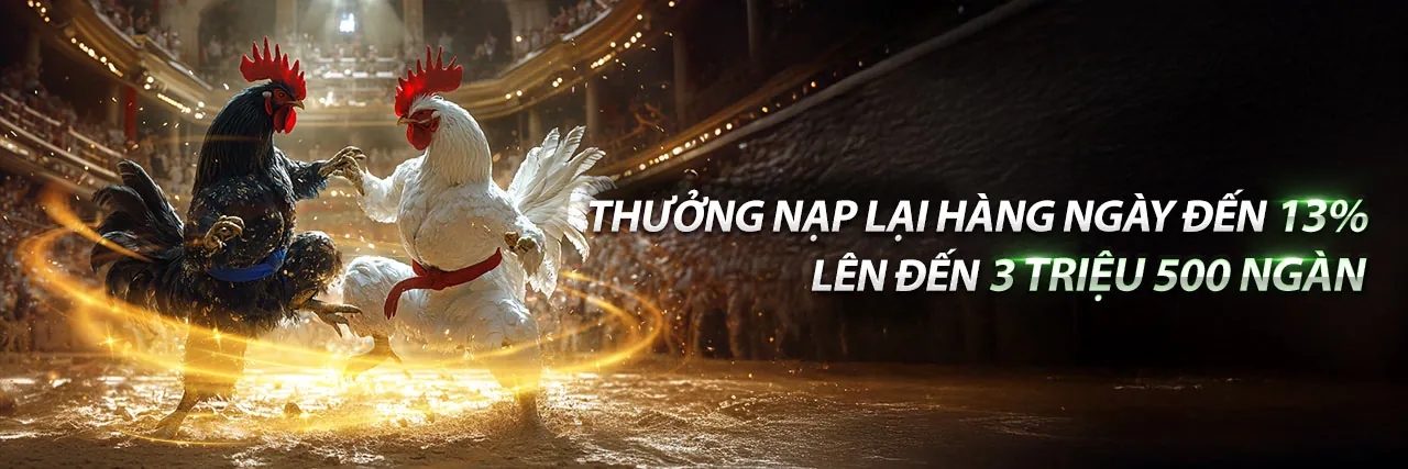 Sân đấu đá gà trực tuyến tại 99win nhà cái