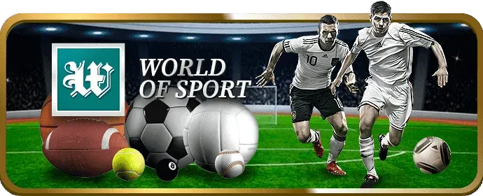 Một nhân viên chăm sóc khách hàng VIP chuyên nghiệp của 99win nhà cái đang hỗ trợ thành viên.